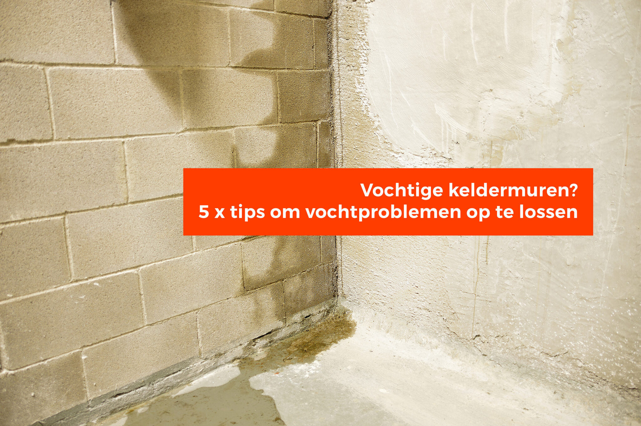 Vochtige Keldermuren 5 Tips Om Het Vochtprobleem Op Te Lossen